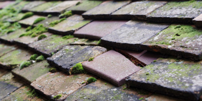 Ibstone roof repair costs